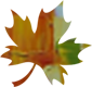 leaf-sm